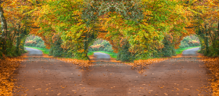 How to become a paramedic